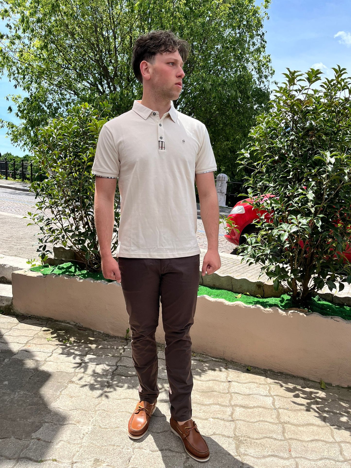 Polo  stampa barberry cotone pique